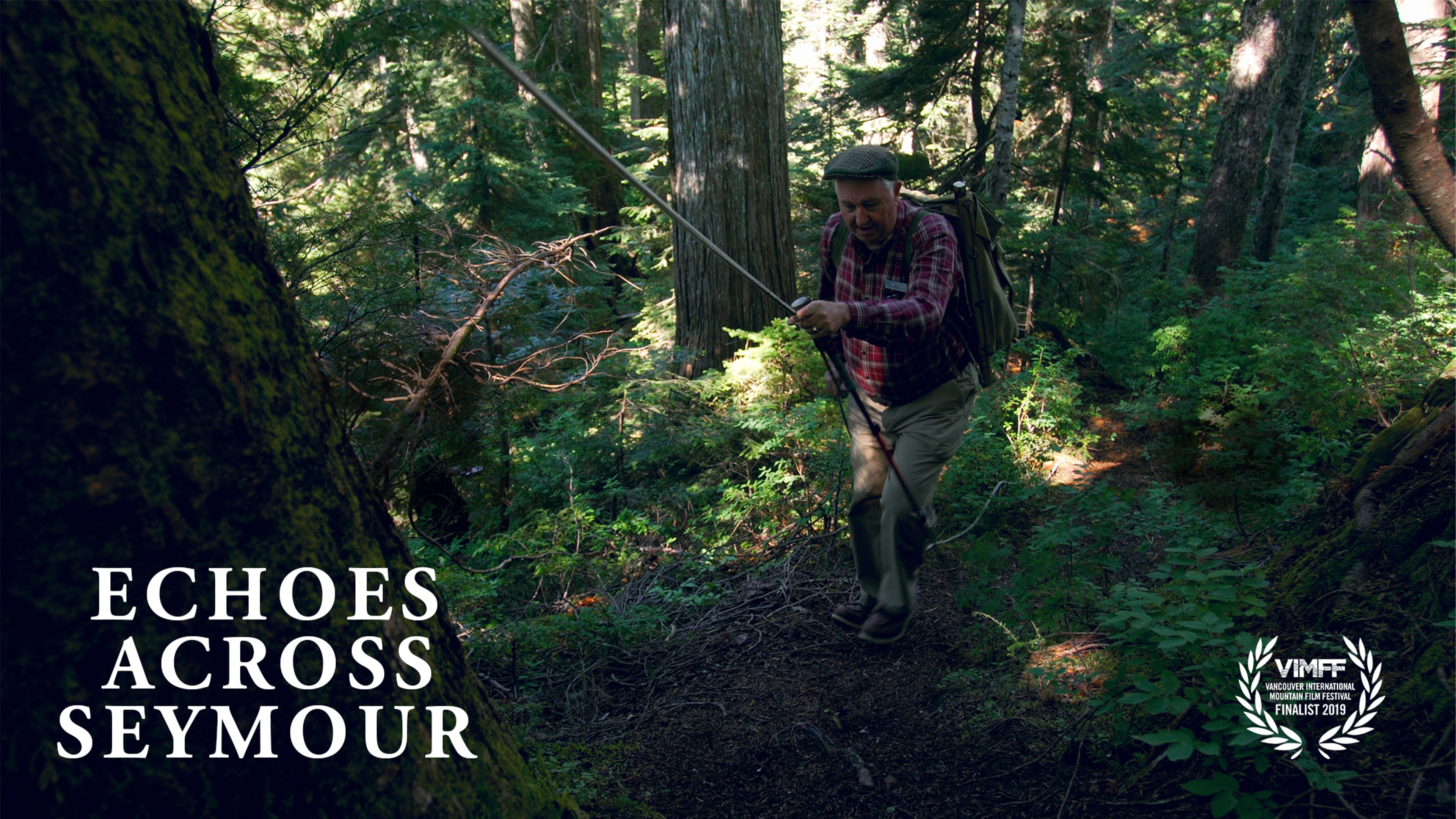 Echoes Across Seymour