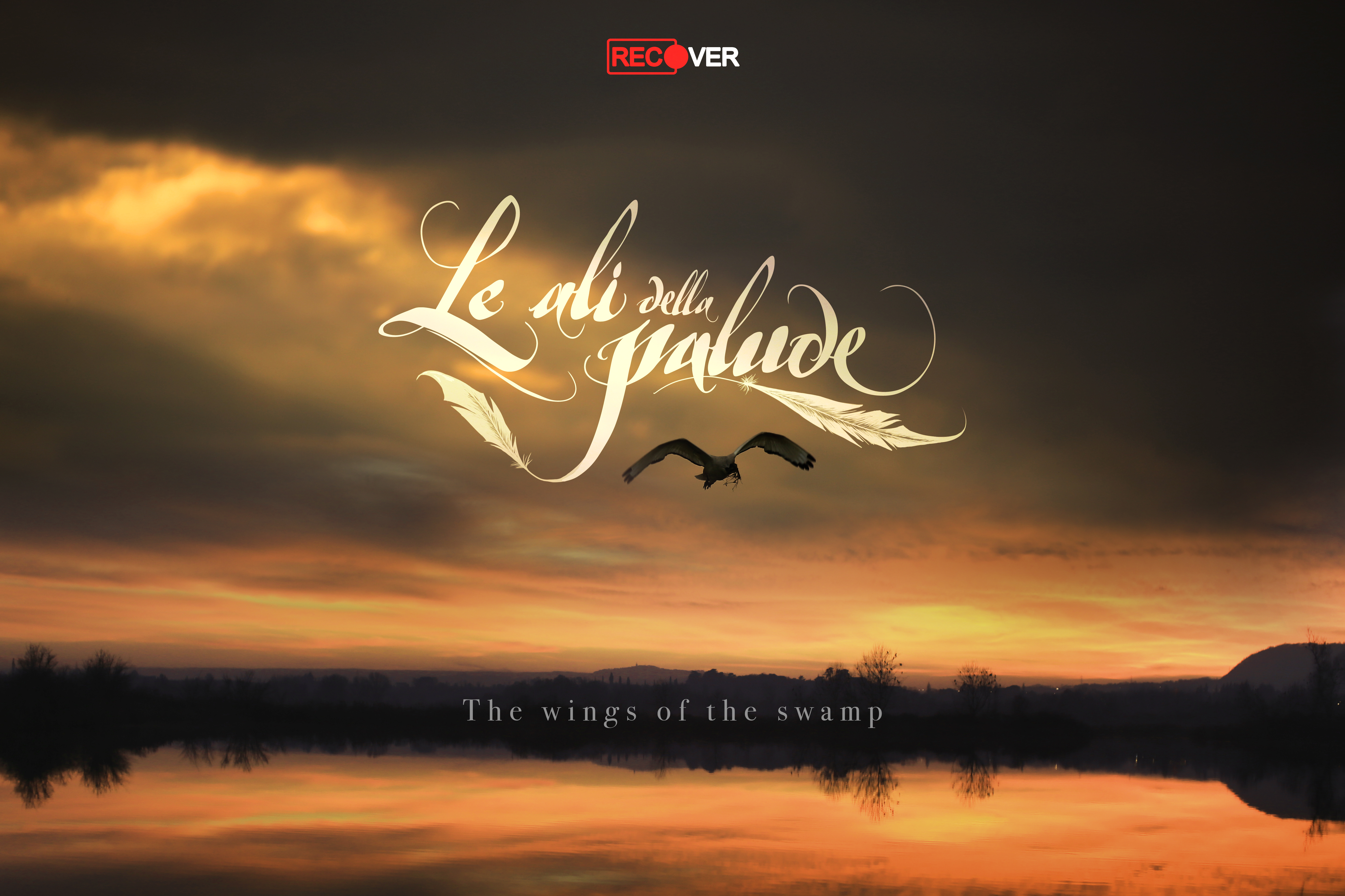 Wings of the Swamp / Le Ali della Palude