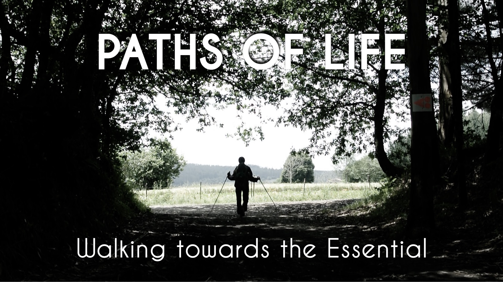 Paths of Life / Chemins de Vie