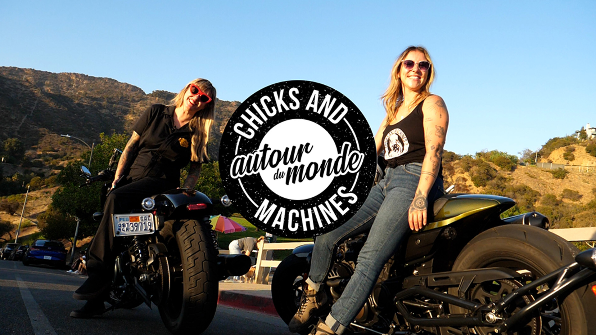 Chicks and Machines