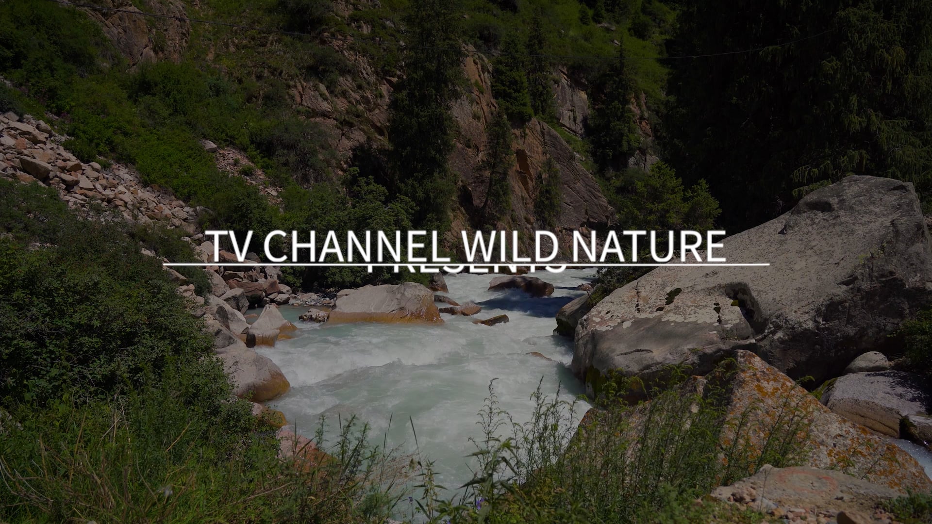 10 Minute Mindful Calmness Episode 5