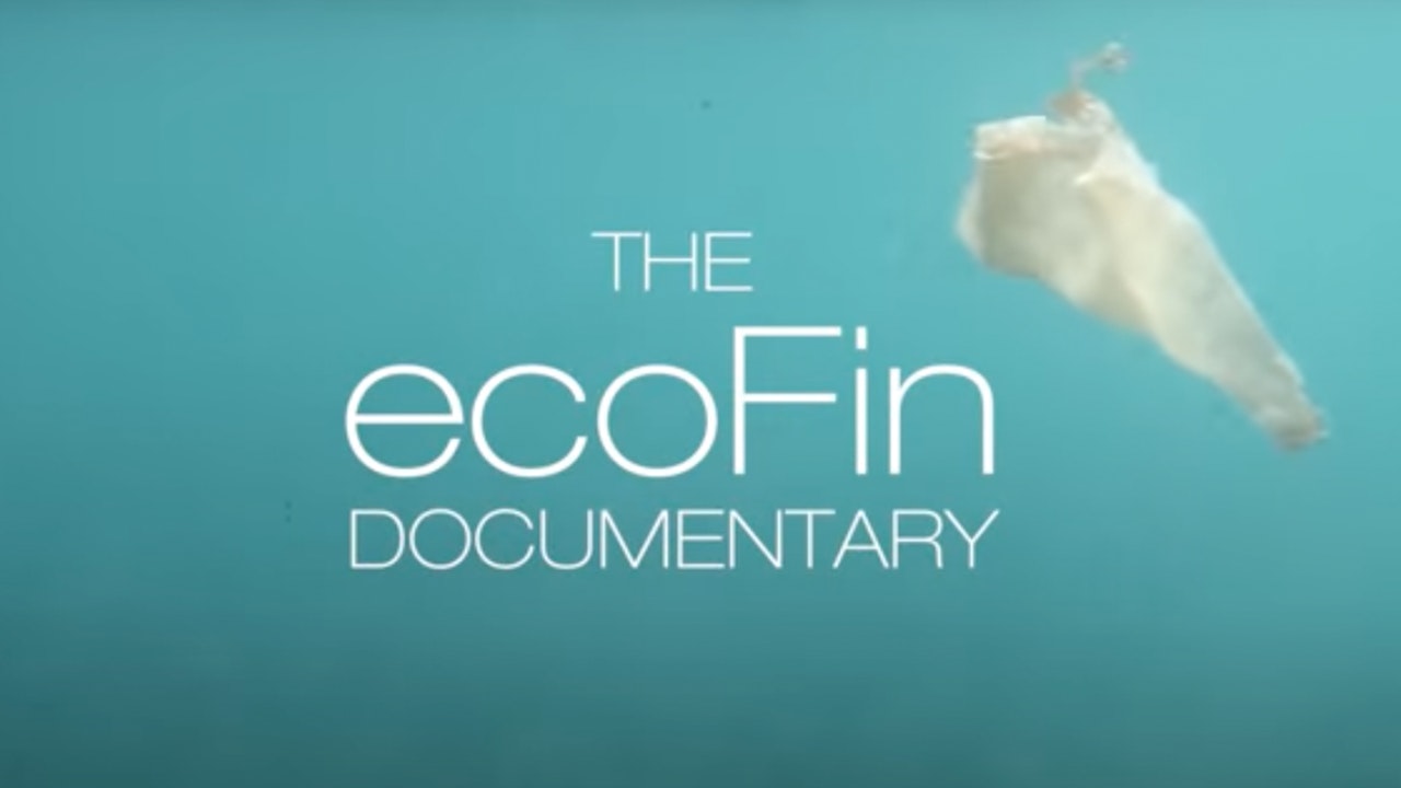 Ecofin Documentary