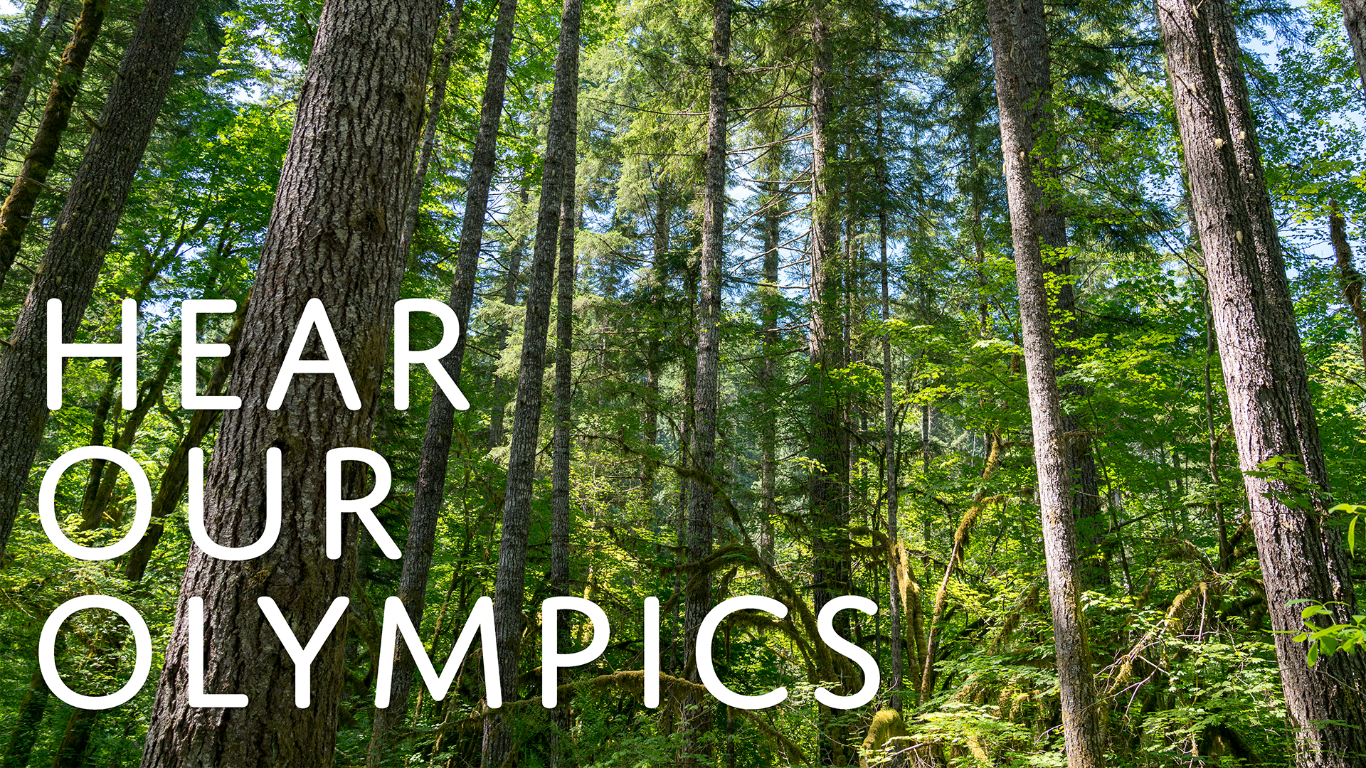 Hear Our Olympics