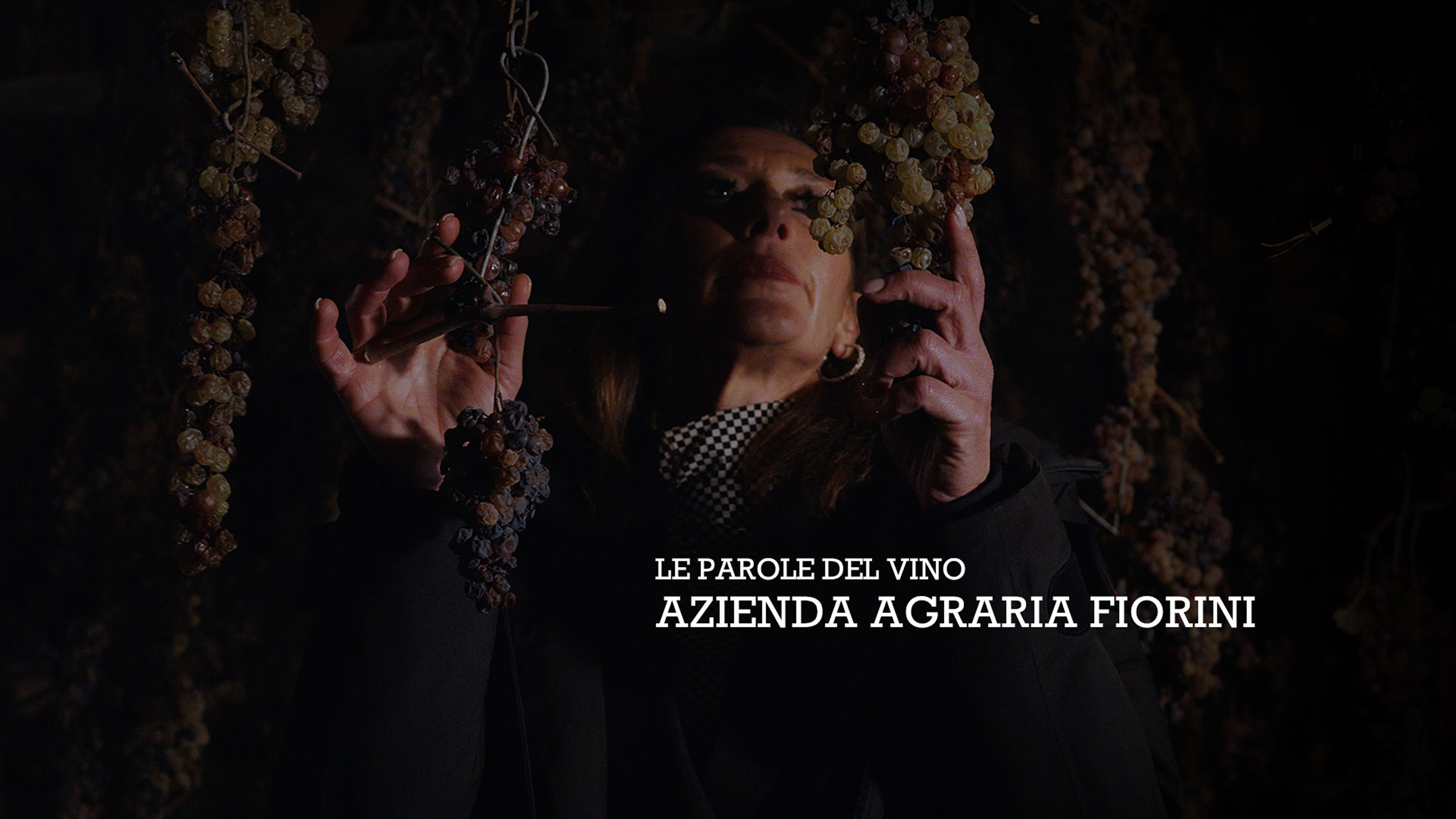 The Words of Wine / Le Parole del Vino