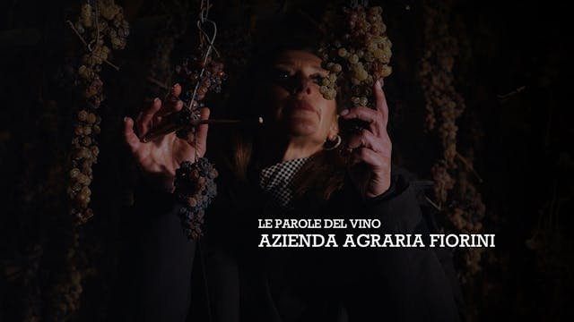 The Words of Wine / Le Parole del Vino