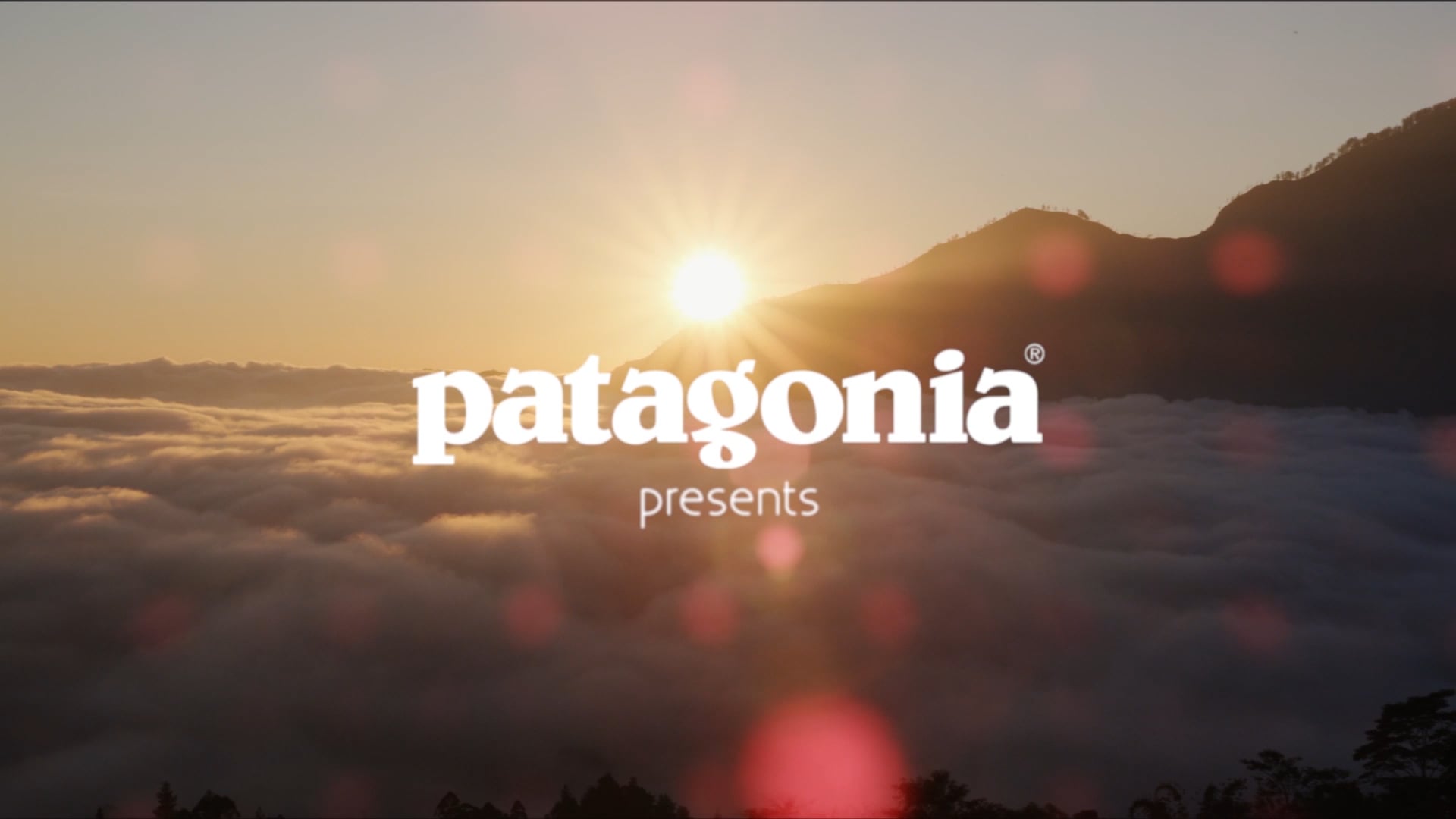 The More Things Change