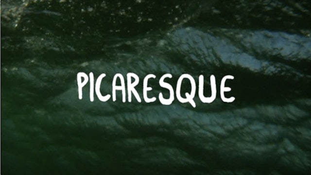 Picaresque