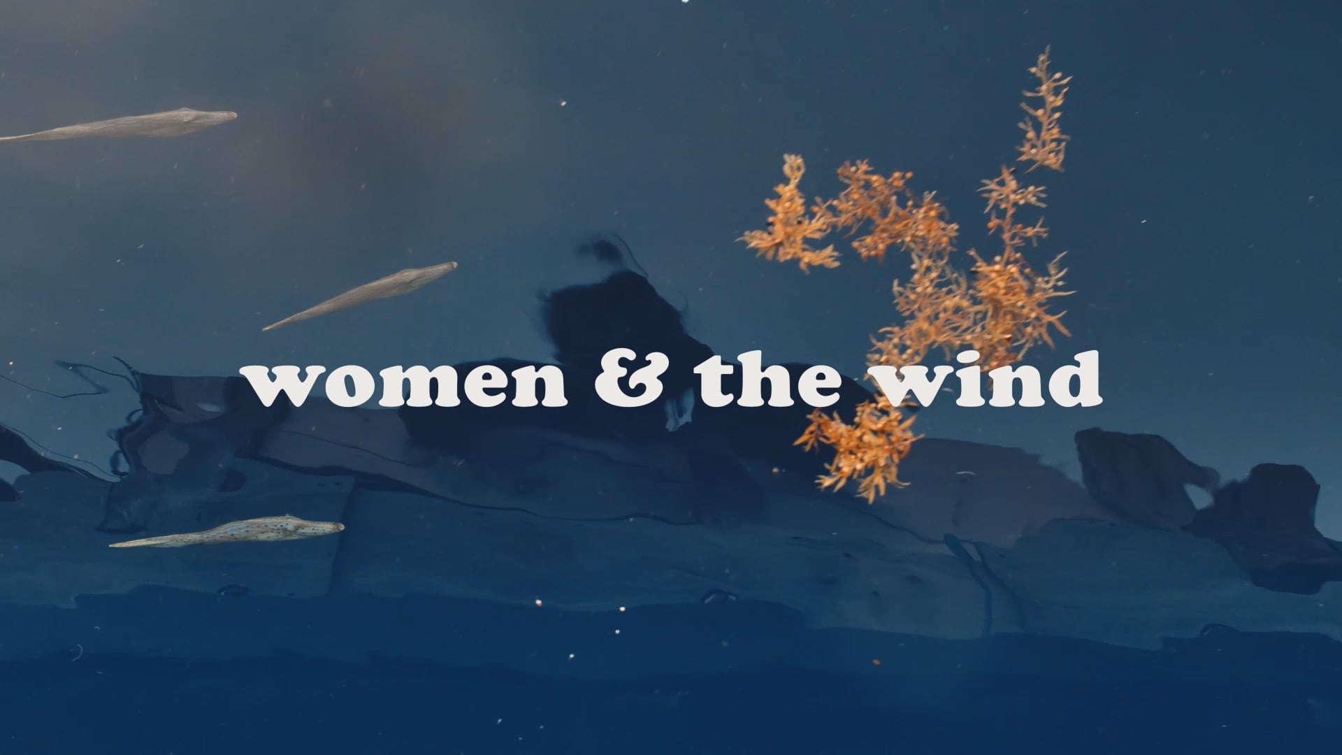 Women and the Wind