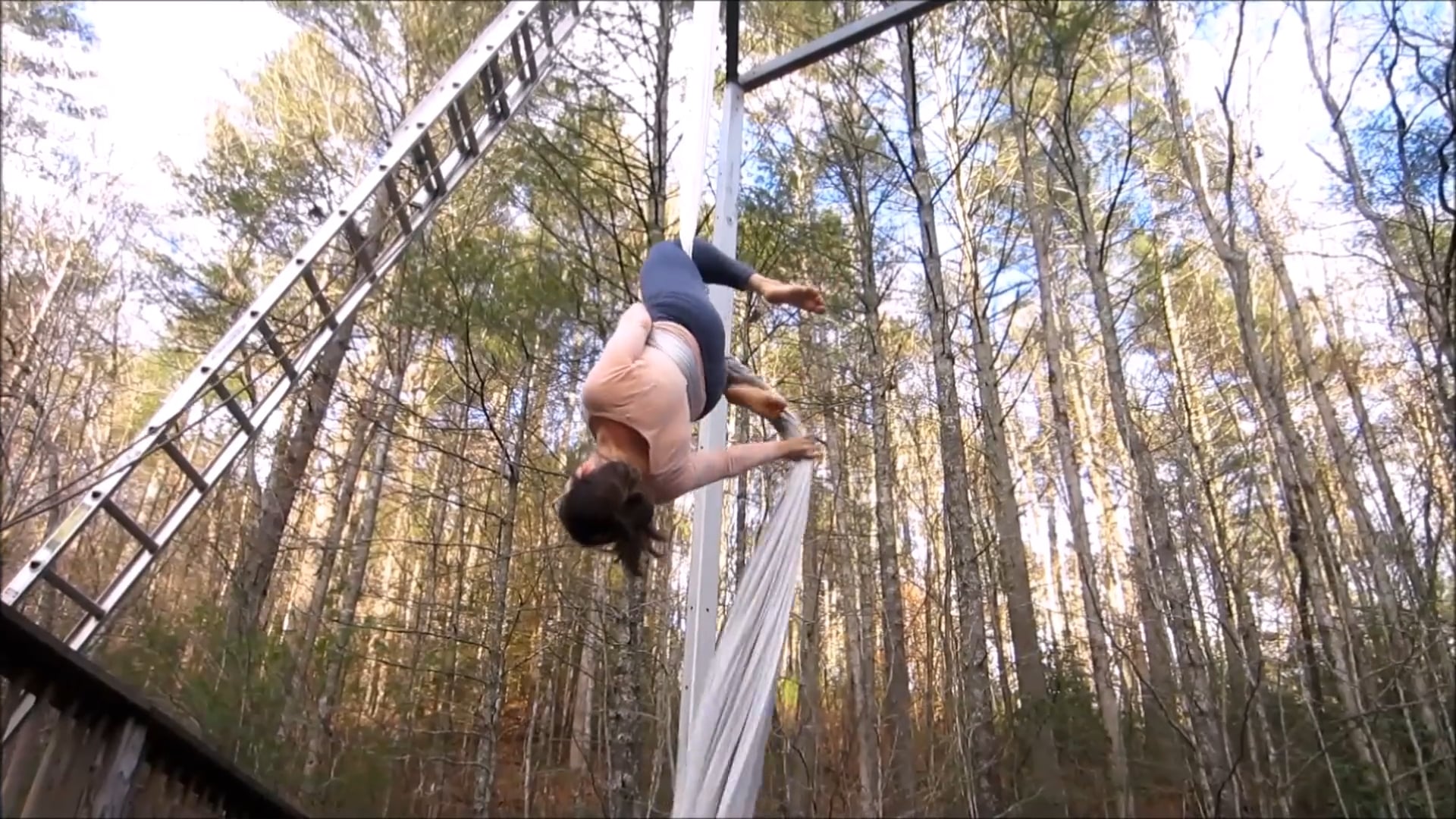 planks on thigh drop redo