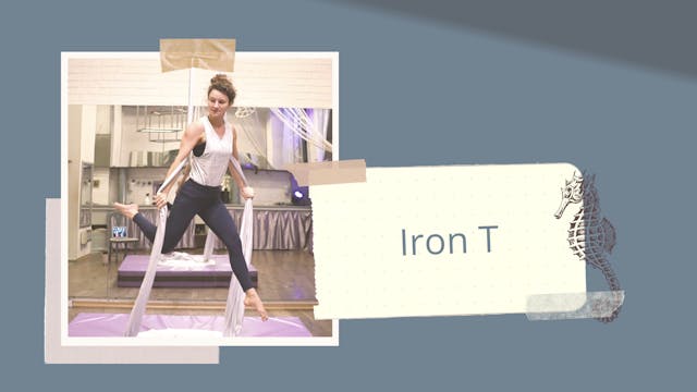 Iron-T (Part 5 of "Flip'n'Roll")