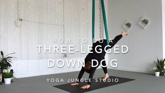 How to do a Three Legged dog