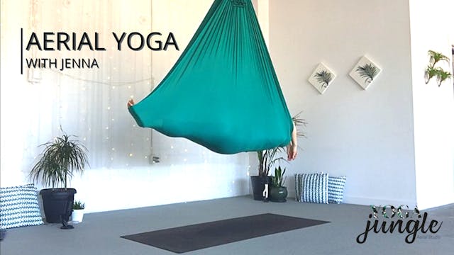 Aerial Yoga Beginner Series - 1 of 8