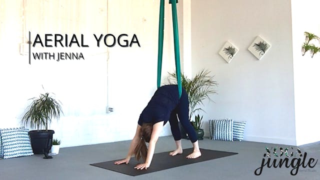 Aerial Yoga Beginner Series - 4 of 8 