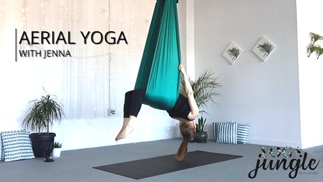 Aerial Yoga Beginner Series - 3 of 8 