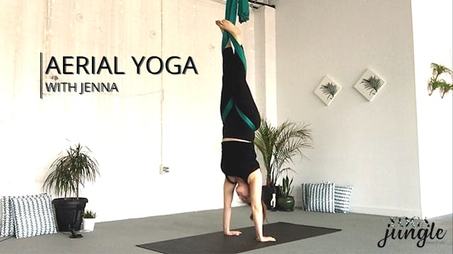 Aerial Yoga Beginner Series - 8 of 8 