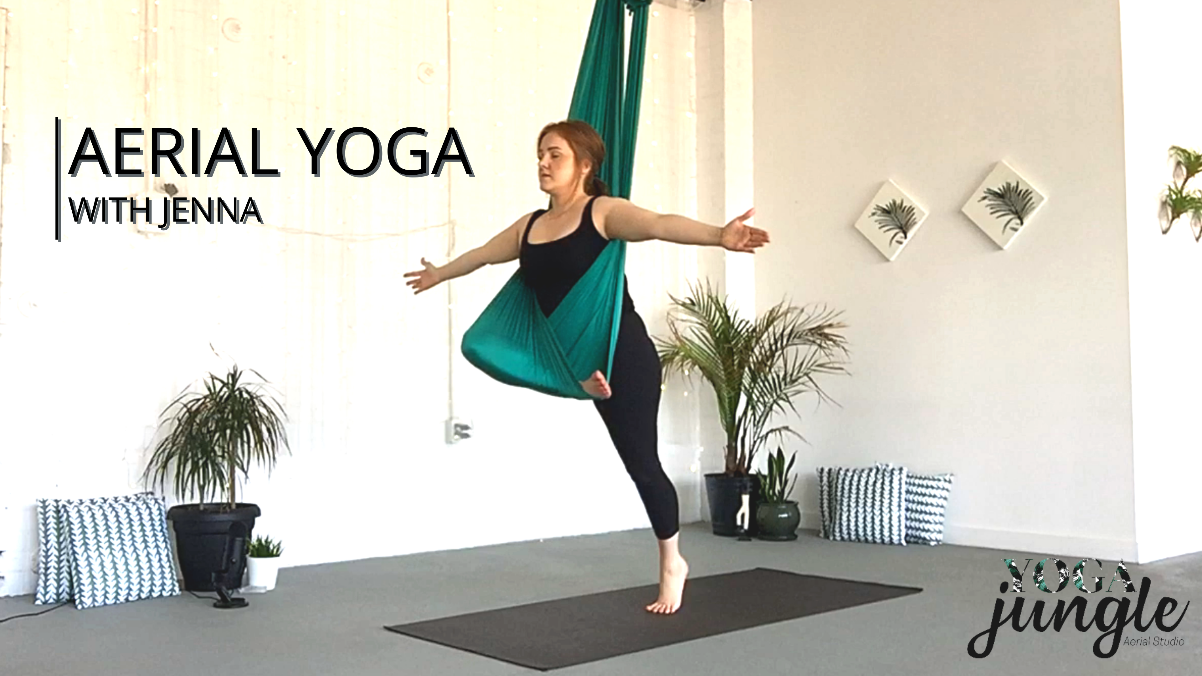 Aerial Yoga Beginner Series - 6 of 8 