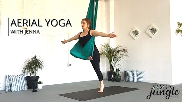 Aerial Yoga Beginner Series - 6 of 8 