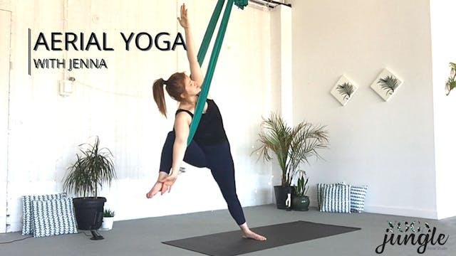 Aerial Yoga Beginner Series - 7 of 8 