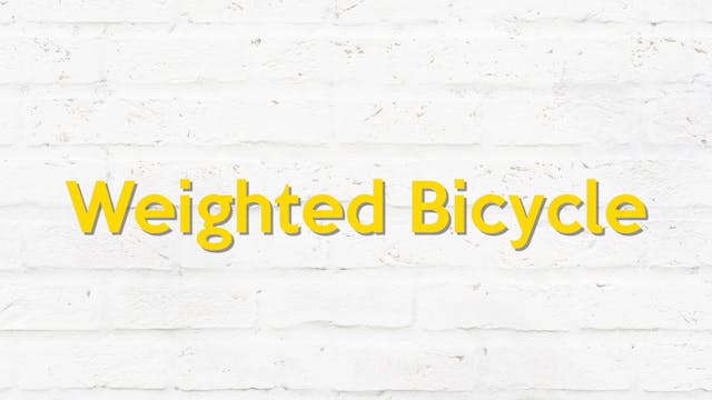 WEIGHTED BICYCLE