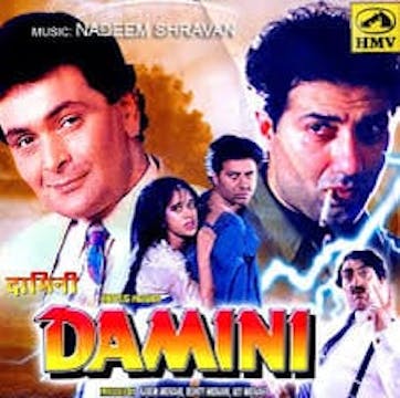 Damini