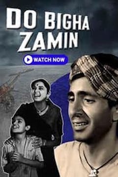 Zamin