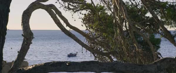 Demain tout commence