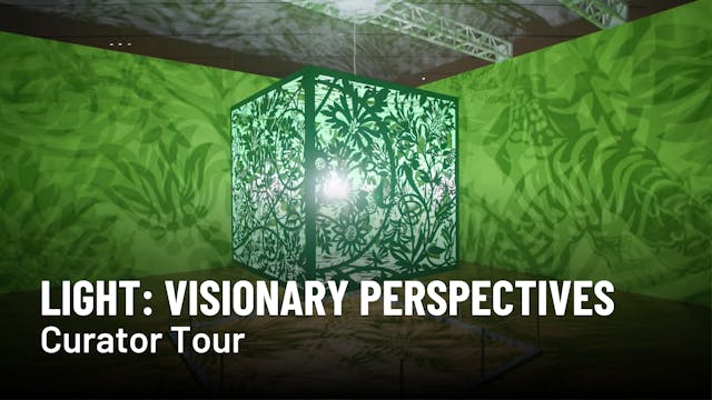 Light: Visionary Perspectives Curator...