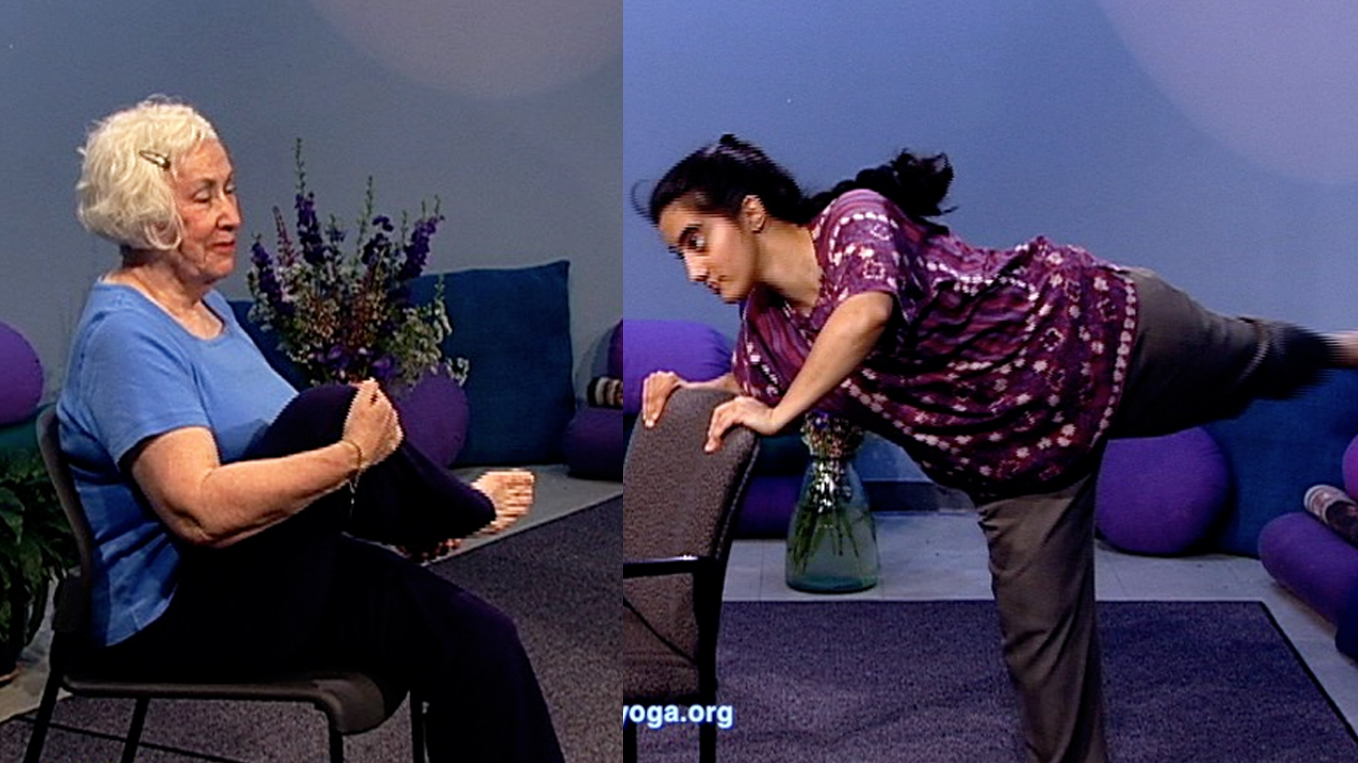 CHALLENGING CHAIR & STANDING ROUTINES (Ageless Yoga DVD, Vol 1)