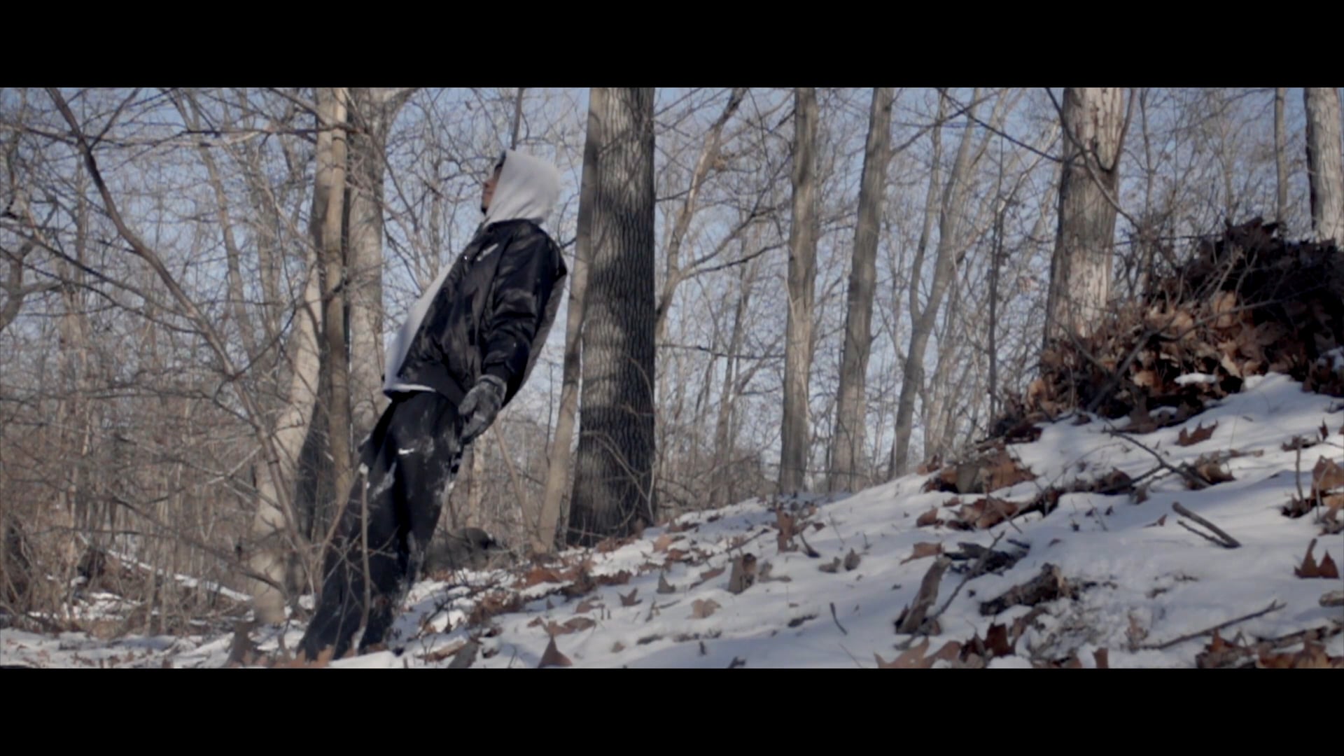 A Home Movie Promo [2017]