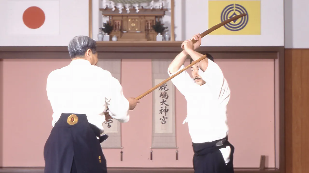 Image result for Aikido toho