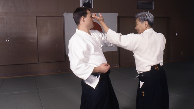 Nishio Aikido Part 5: Yokomenuchi