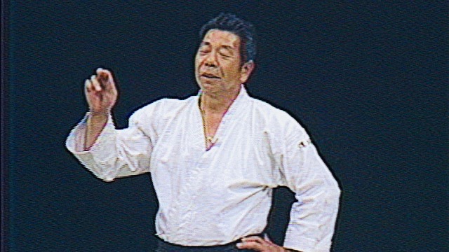 Morihiro Saito: 1985 Friendship Demonstration