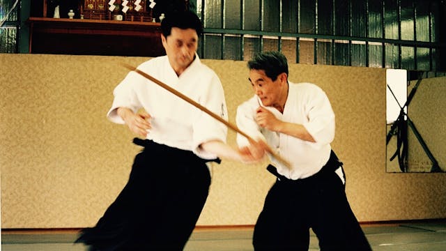 Nishio Aikido Part 4: Shomenuchi 2