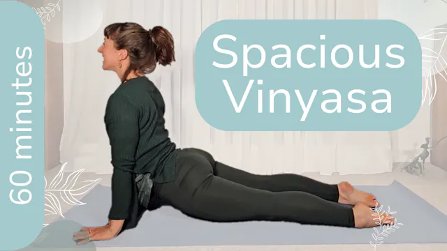 Vinyasa Flow Yoga for the Spine