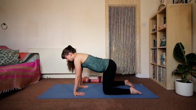 Bakasana Crow Pose