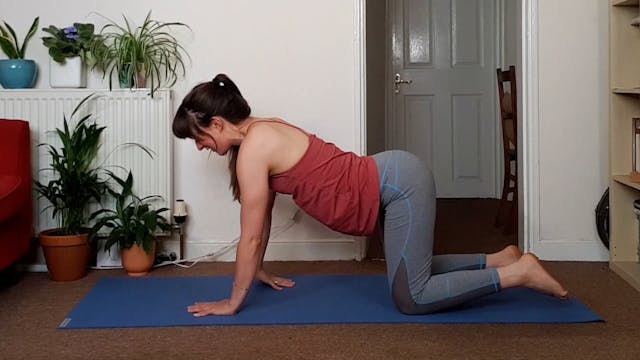 Expansive Vyana Vayu Hatha Yoga Flow