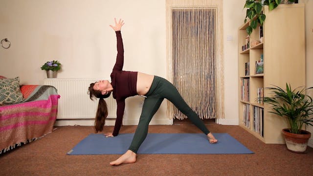 Minimal Cues Vinyasa Flow Yoga