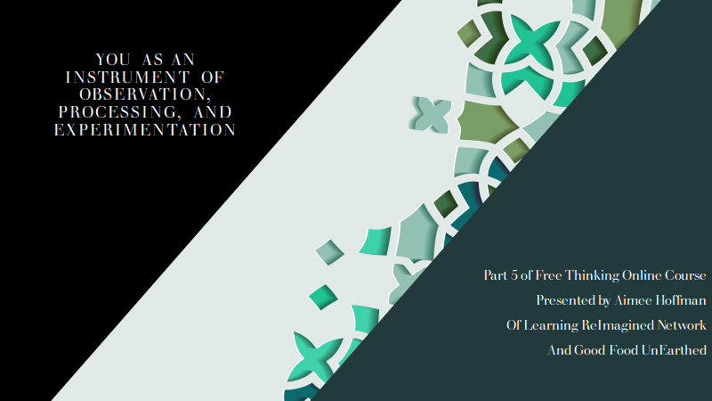 Free Thinking Online Course Part 5 You As An Instrument 