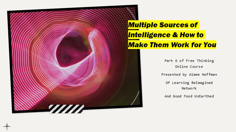 Free Thinking Online Course Part 6 Multidimensional Intelligence