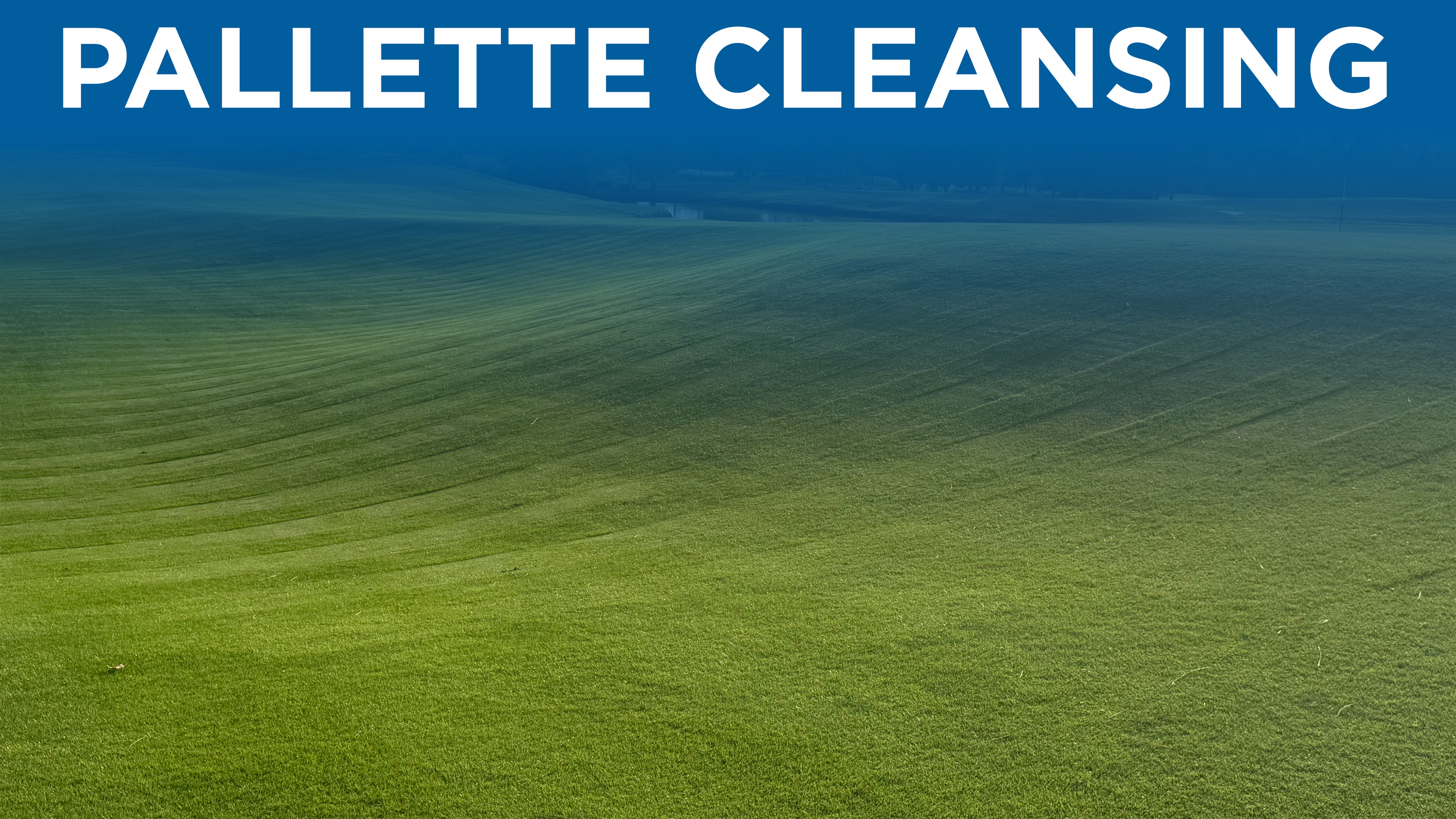 Lesson: Palette Cleansing