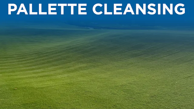 Lesson: Palette Cleansing