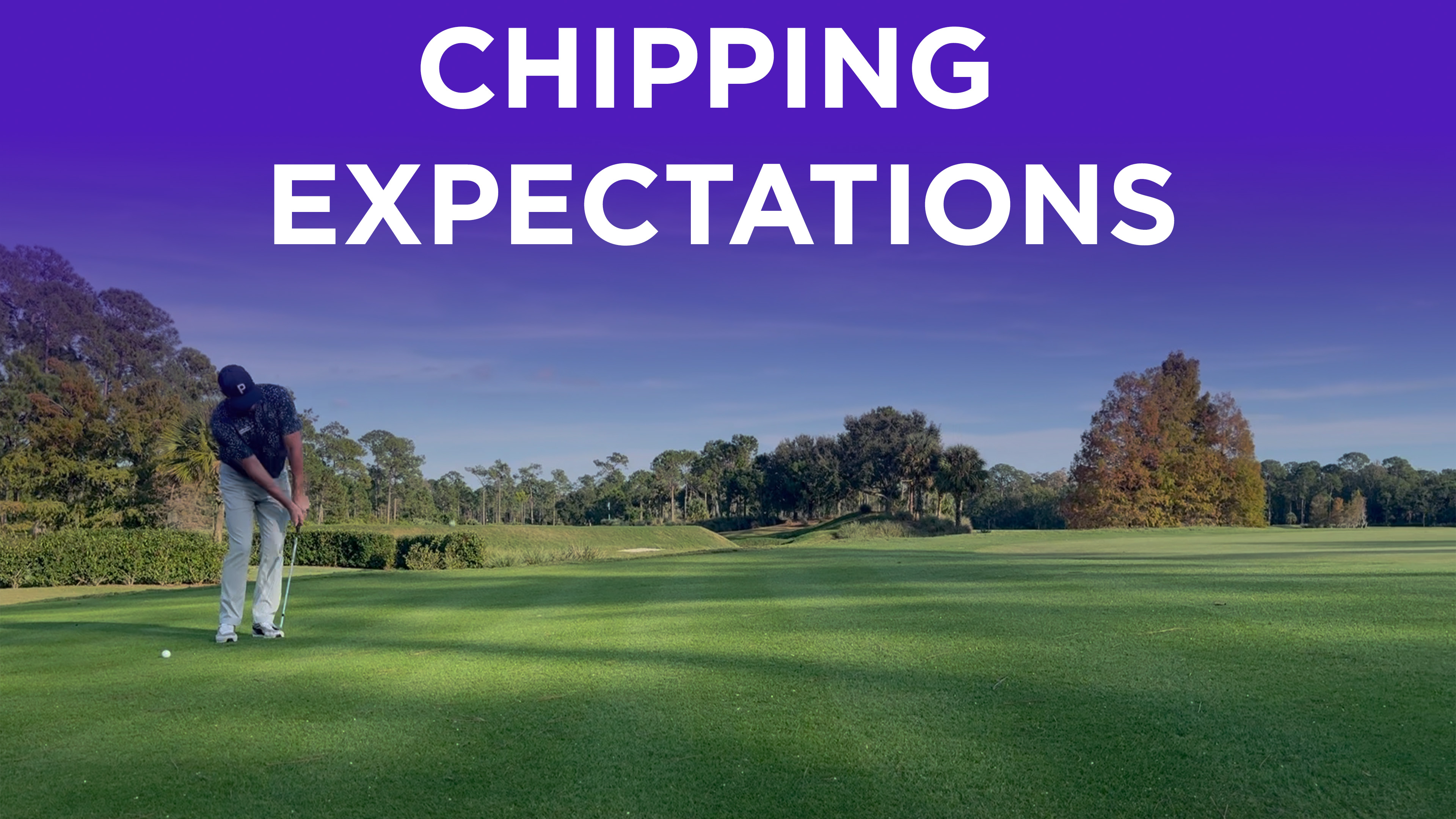 The Data: Chipping Expectations