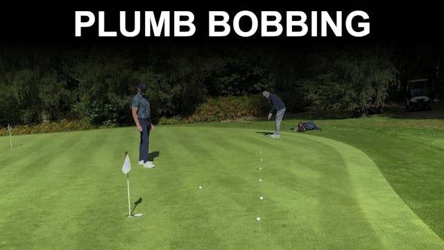 On Request: Plumb Bobbing