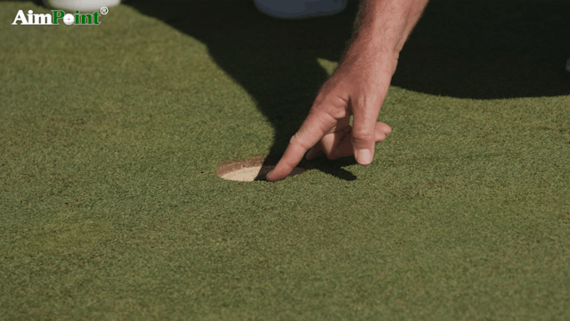 AimPoint Advanced - How Grain Affects...