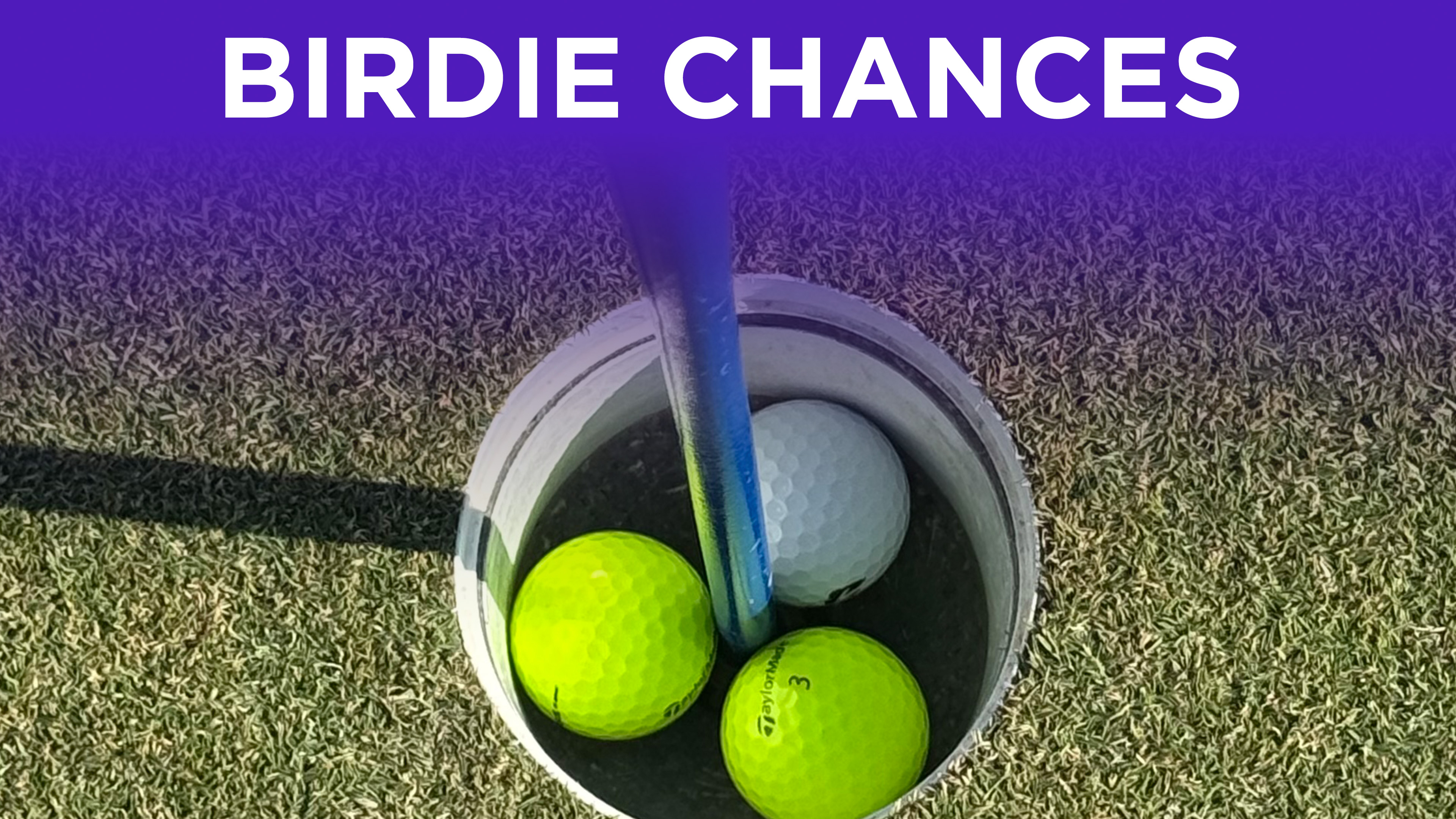 The Data: Birdie Chances per Round