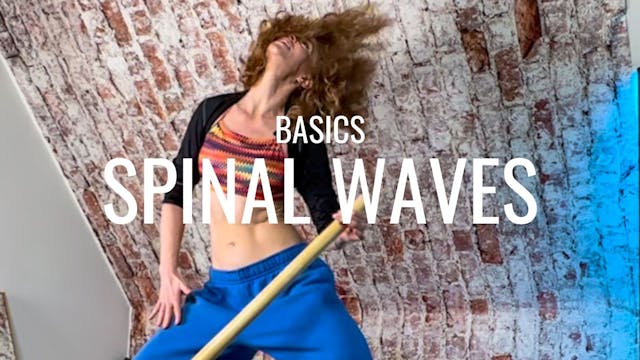 DAY 4: Spinal Wave Basics