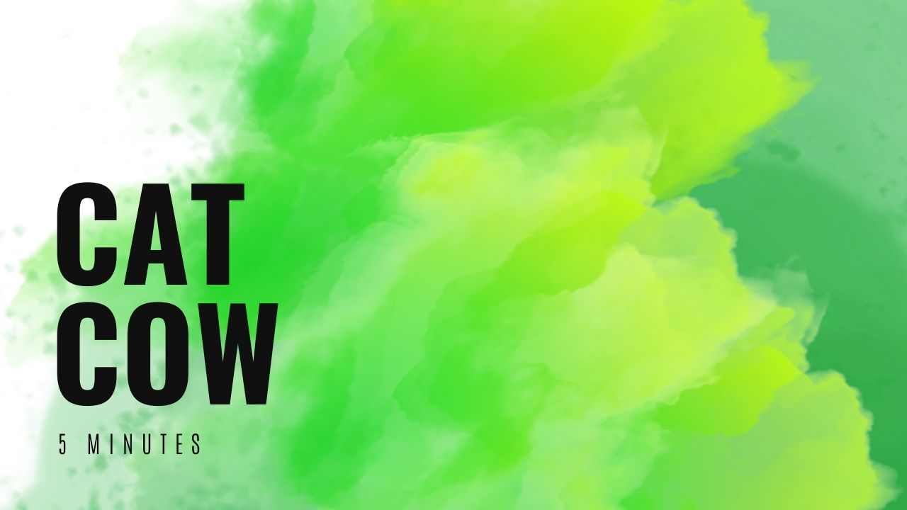 Cat Cow Challenge, 5 Min