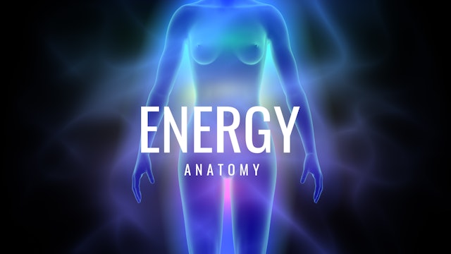 Energy Anatomy