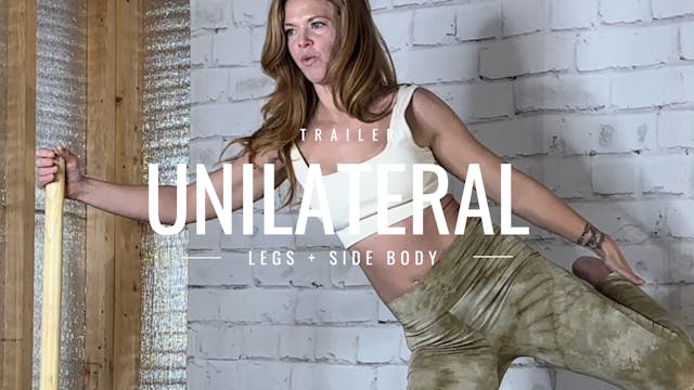 Unilateral Low Body Trailer