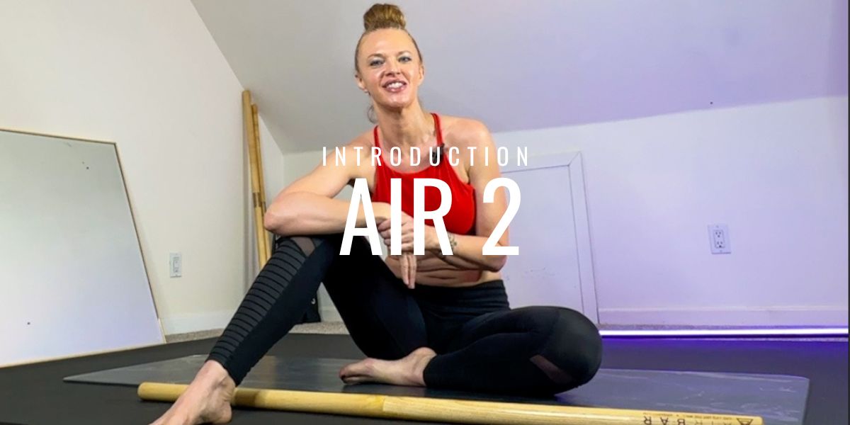 Introduction to AIR (2)